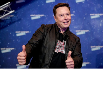escapen the elon the musche killer