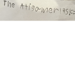 The Atigamer14.