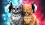 The Best Kitten Gamers