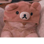 ráindr0ps