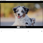 •Peritta equipo!•