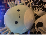 Rachel cute axolotl team