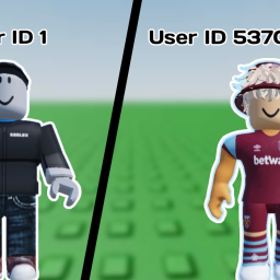 Player Id Checker