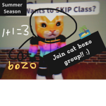 Cat bozo group