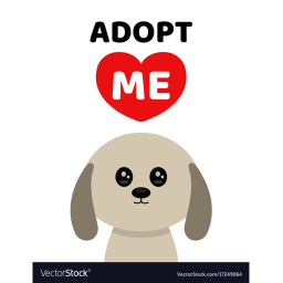 Selling adopt me pets x