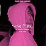 HOWLUXURY