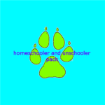 Home Schoolerz