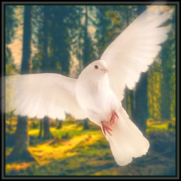 [Pre-Alpha] Arcus: Survival