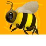 Bee Military