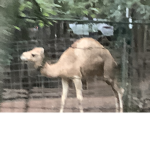 *#*#