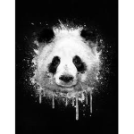 Panda Arc