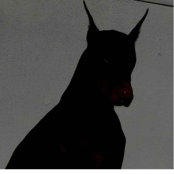 a̵̸̸͓̻̻̘̯̗̩͊̅̀ͧ̽́̚̚͜͞͠ ็็็็็็็็็็็็็็็็็็็็็็็็็็็