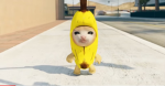 BANANA CAT republic