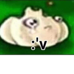 Nms como que 100 bobux