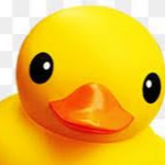 Supreme Duck Command