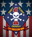1st Reconnaissance Battalion [1MD]