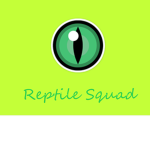 Lizard/Reptile Squad