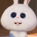 토끼 두부