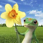 lizzys lizards!