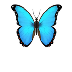 Majestic Blue Butterfly Fan Group