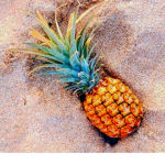 ・Pineapple Squad・