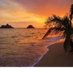 .~The Sunsets~.