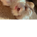 Bailey<3