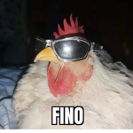 tropa dos calvo d cria@oficial