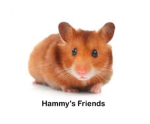 Hammy's Freinds