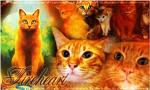 Warrior Cats Fans :3