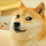 Fan Shiba Inu! Group