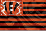 Bengals nation