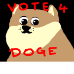 Doge United States