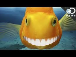 Zac’s roblox group