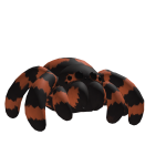 Spider Halloween