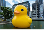 quack squad boom