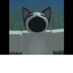 M.E.O.W. Cats