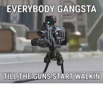 goose gang take over