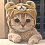 "Kittens"