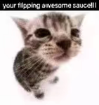 woopee
