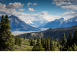 Campsite