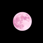 ~•Moons Clothing•~