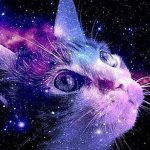 Galaxia cats