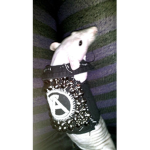 oh no you got a rat infection