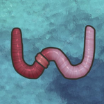 WormSea