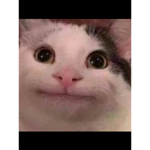 Ôeôeôeôe