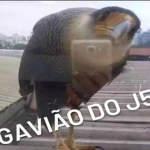 AMIGUINHOS DE LZ