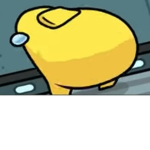 The boii rekters
