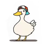Duck's Colony