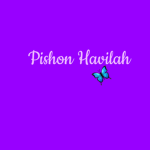 PISHON HAVILAH